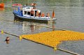 Maschsee13   725